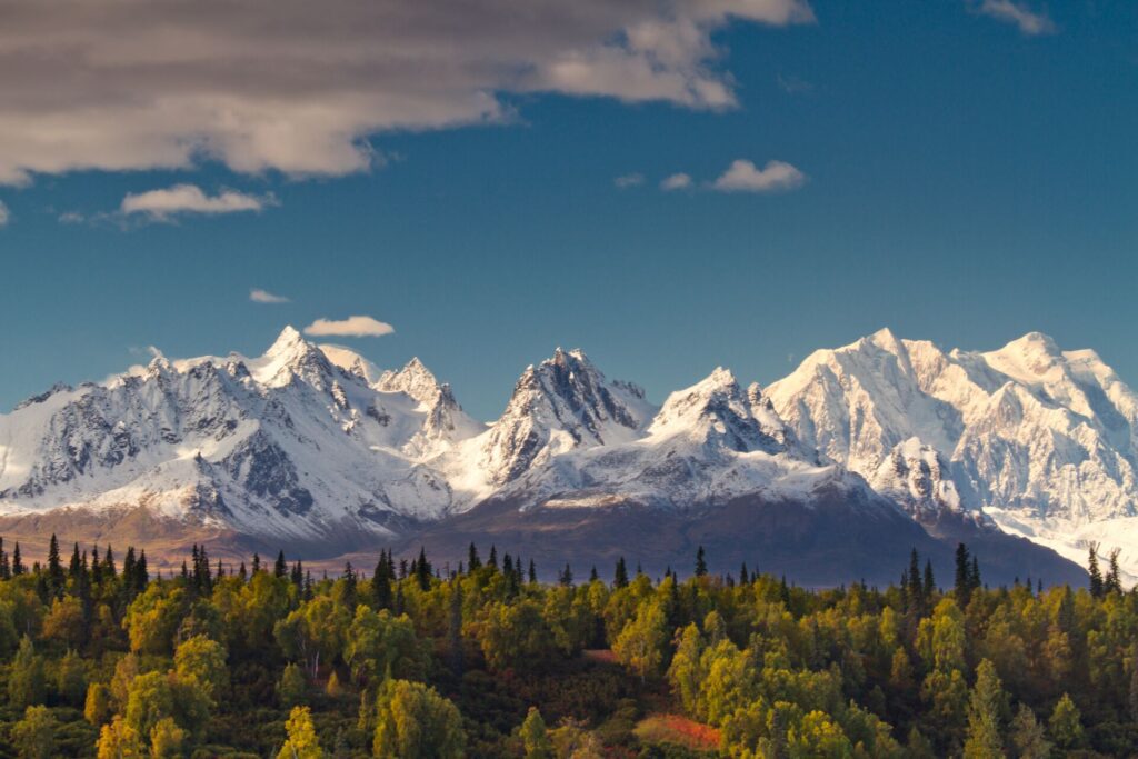 mountains surrounded by forest