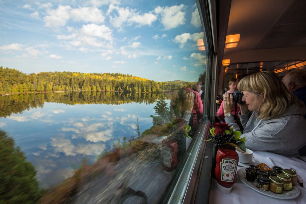person taking a picture of a lake and forest from a train window