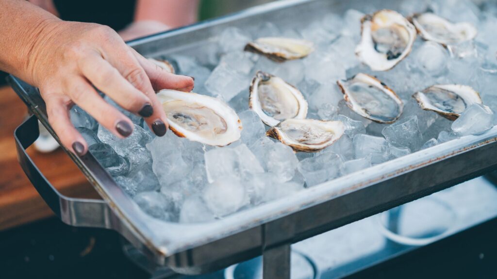 Oysters on ice being served