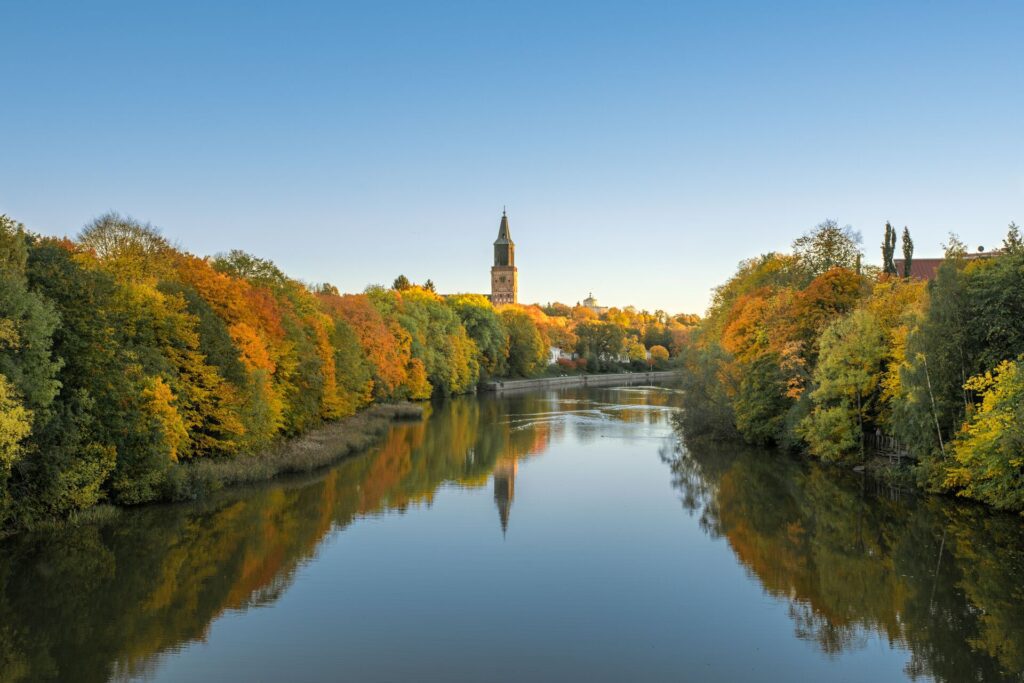 Autumnal coloured trees lining a river