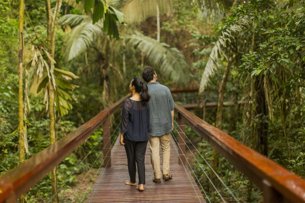 people walking along paths in a forest