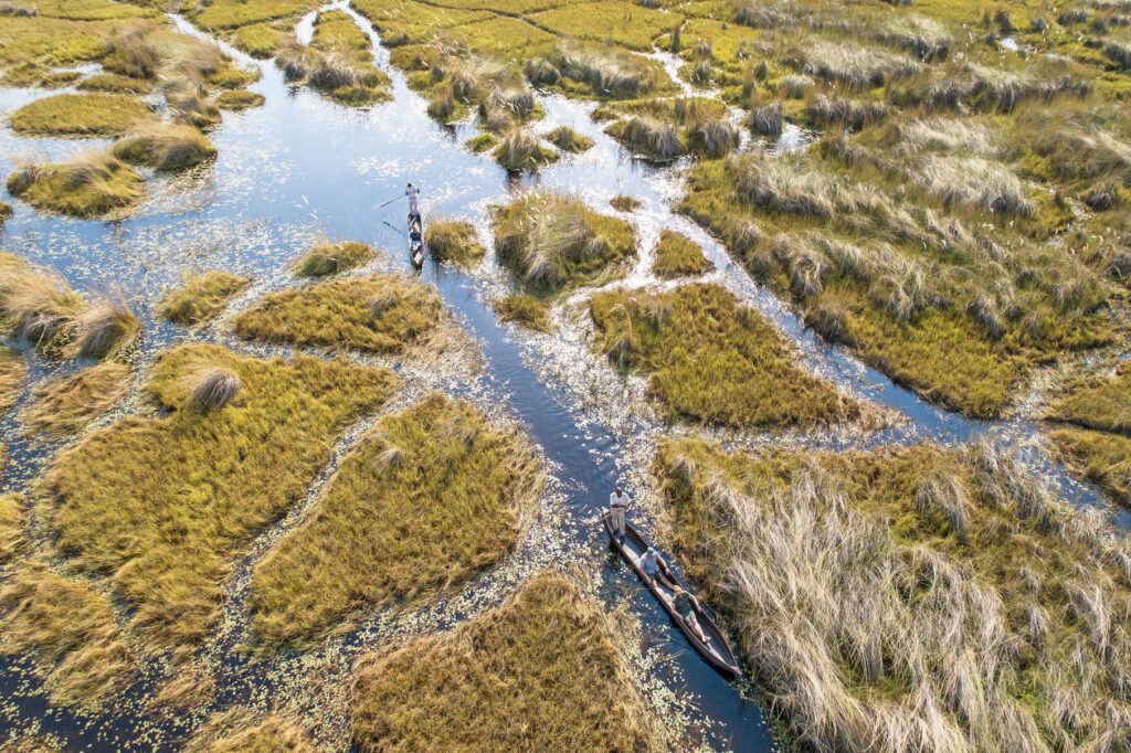 Mokoro rides in the Okavango Delta