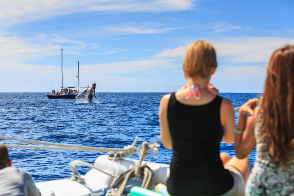 people looking out in the sea where a whale is breaching the water