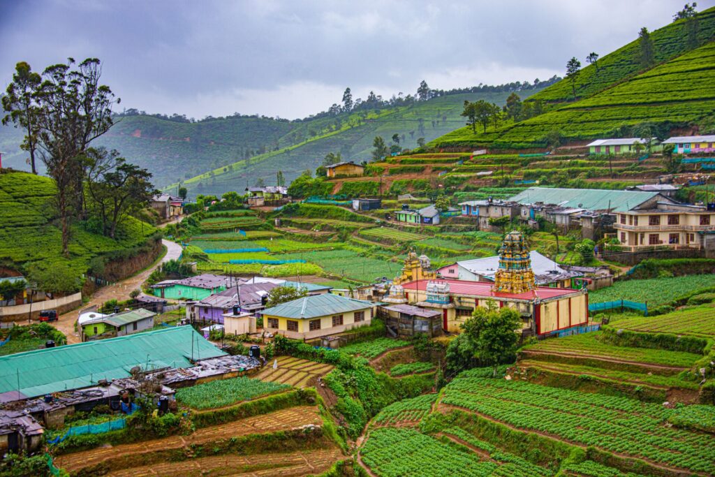 Tea plantations and a small village in the hills of Nuwara Eliya