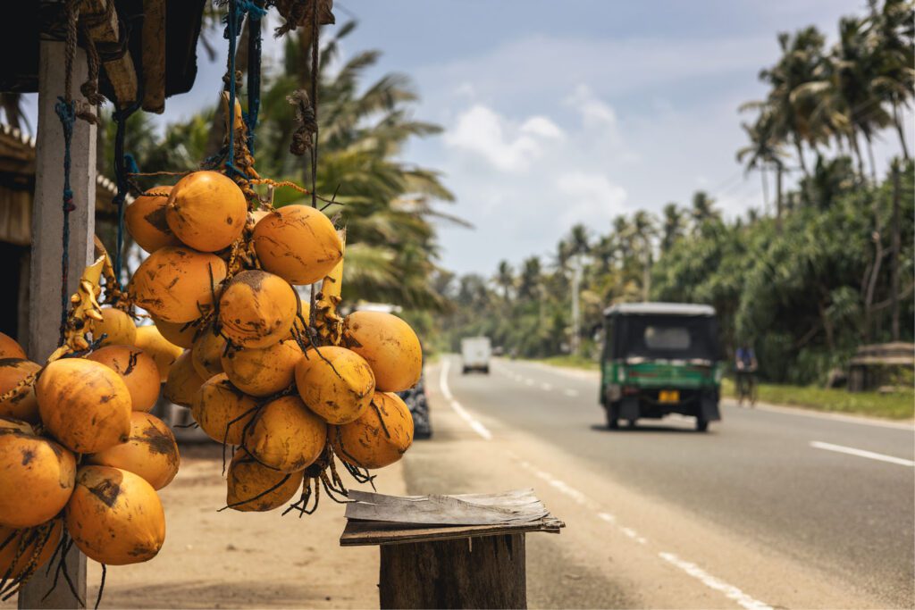 Market stall selling coconuts by roadside in tropical landscape