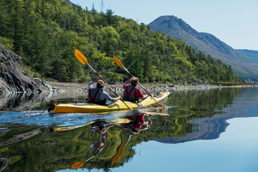 People kayaking in nature