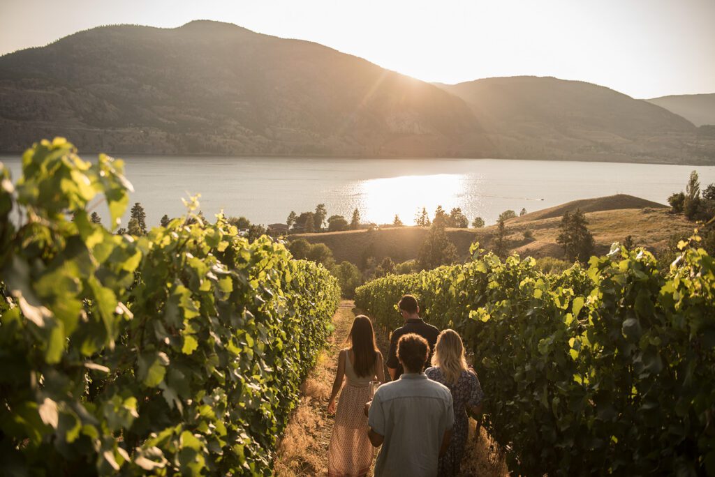 People walking through vineyard