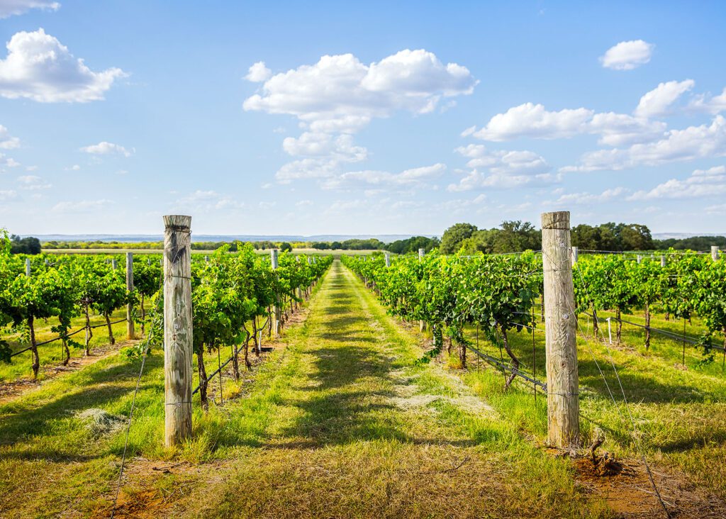 Fredericksburg, Texas