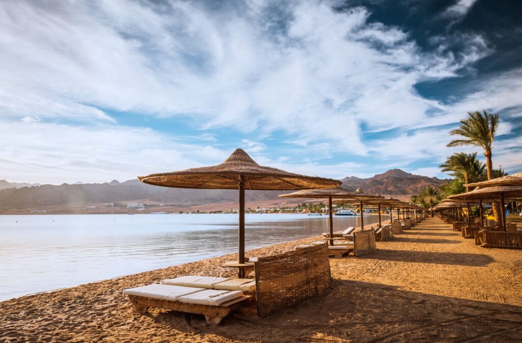 Relax under parasol on the beach of the Red Sea