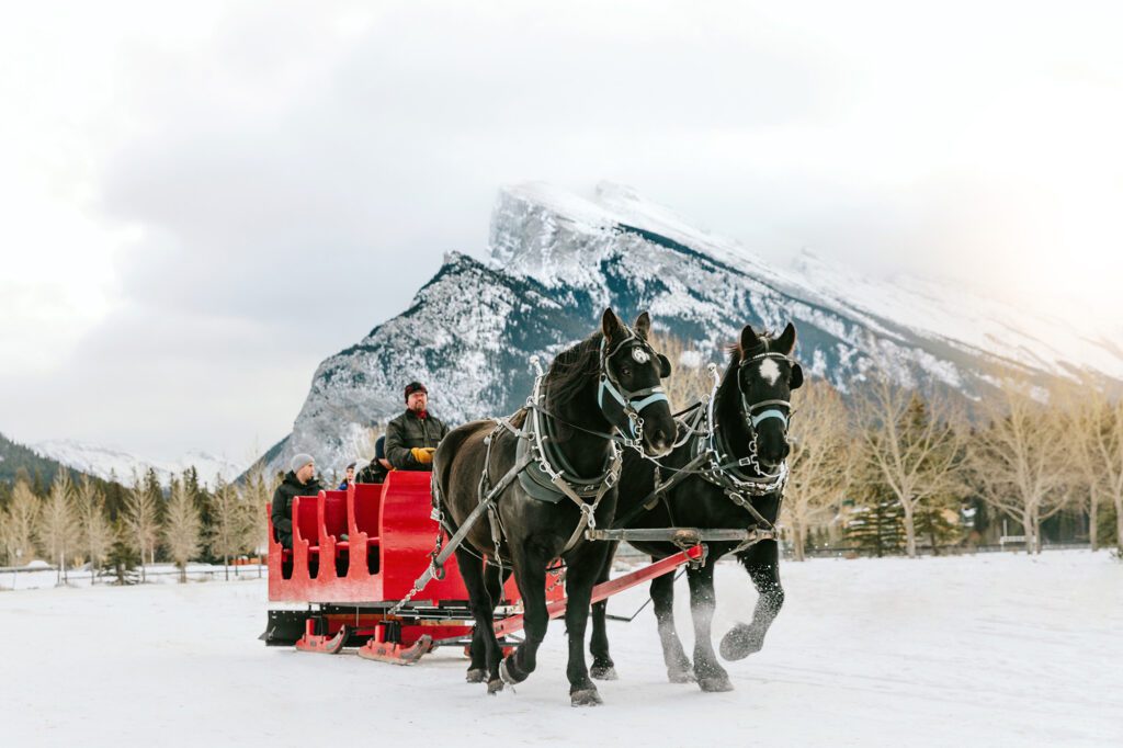 Lake Louise Horse Ride