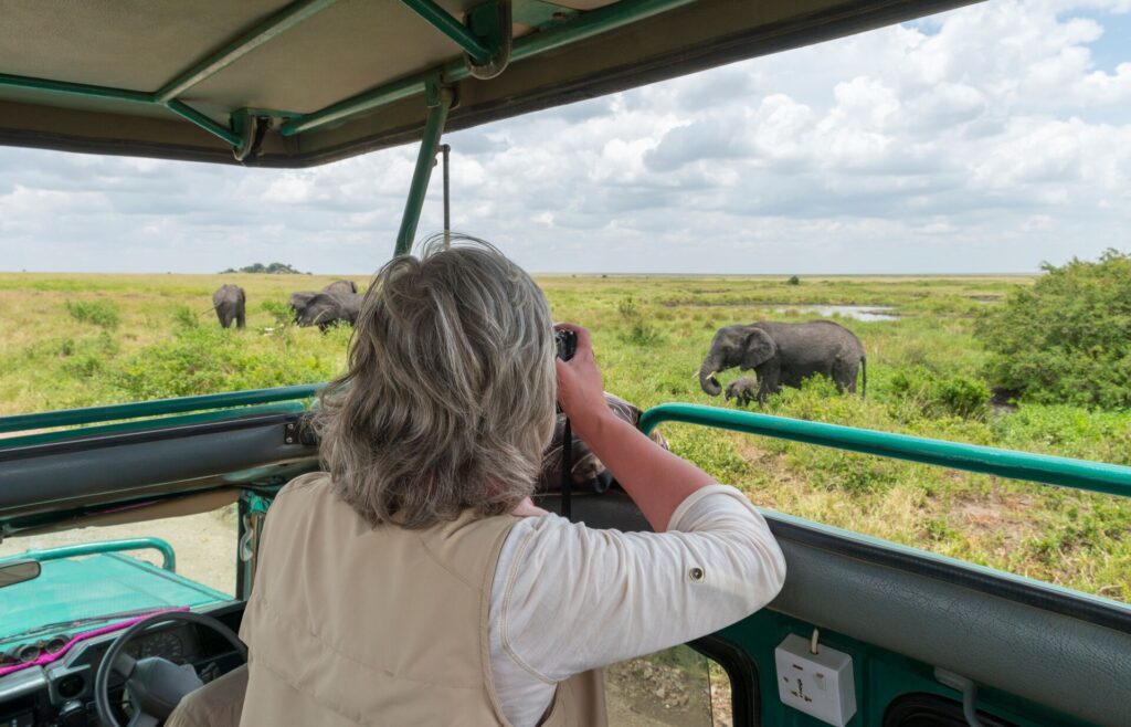 Woman photographing elephants in safari jeep, Africa