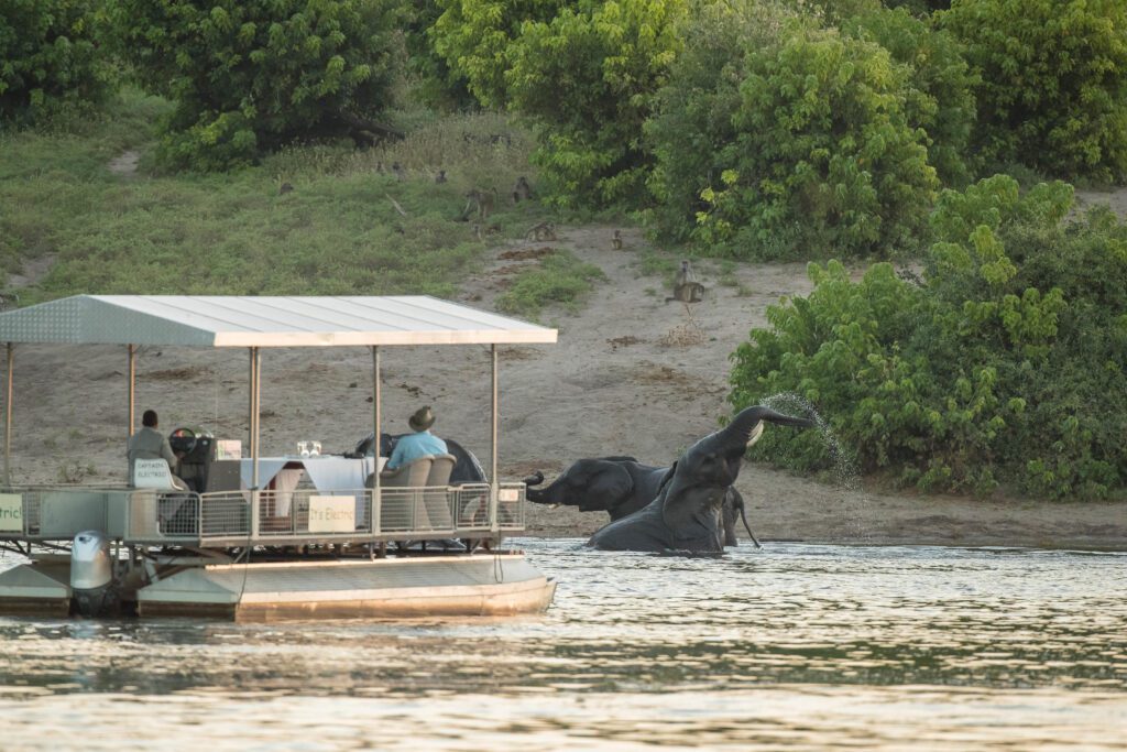 Chobe Game Lodge - River Safar coming across Elephants