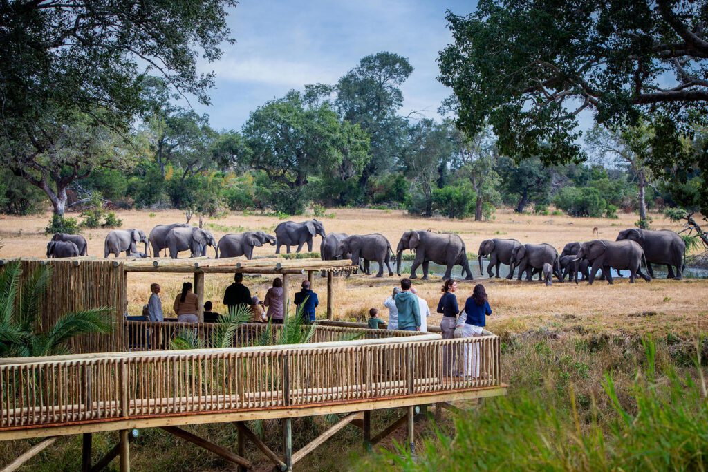 Sabi Sabi Bush Lodge - Loon s Lounge
