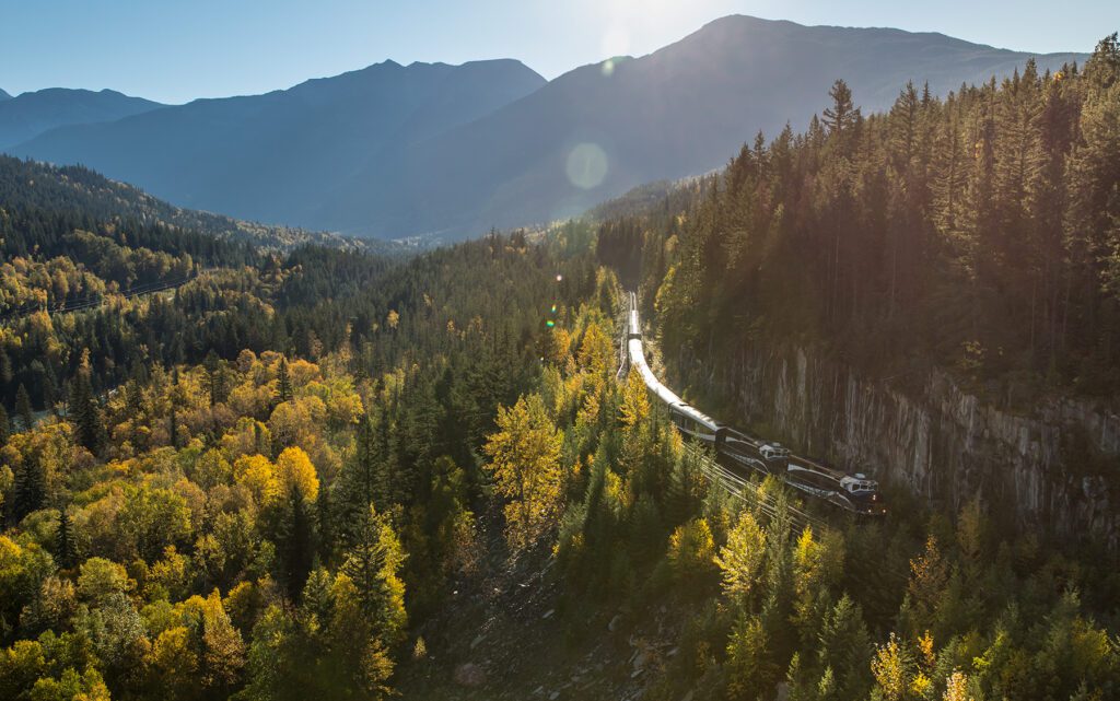 rocky mountaineer train going through a forest