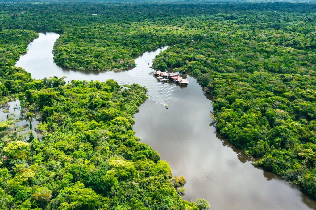 Peruvian Amazon
