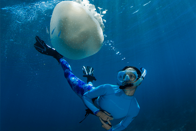 A man in a blue wetsuit is underwater with a jellyfish