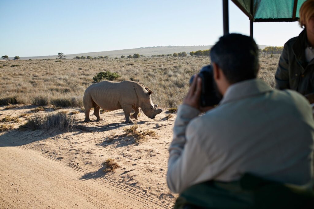 A couple taking photos of a rhino on safari trip out of 4x4 vehicle