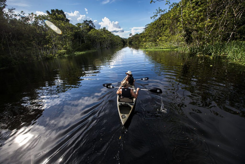 two people in a kayak in a river within a forest