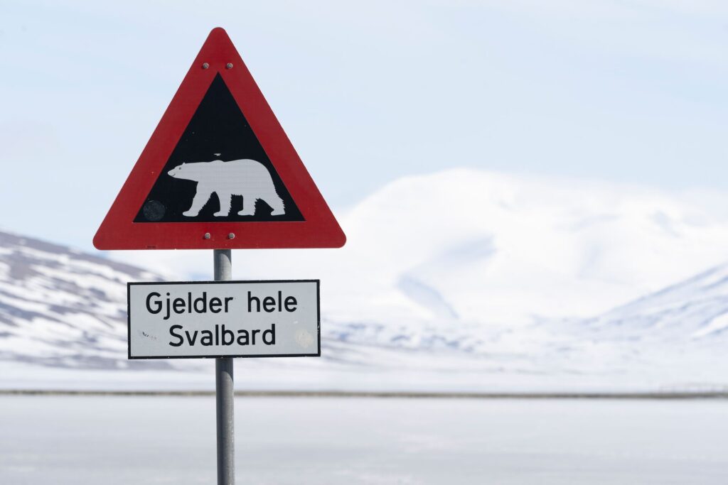 Polar Bear Warning sign