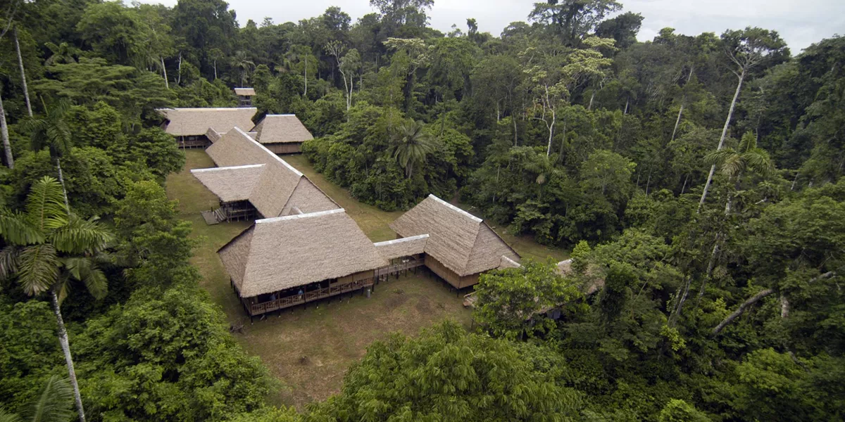 An aerial view of a house in the middle of a forest