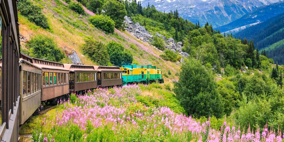 The Scenic White Pass & Yukon Route Railroad