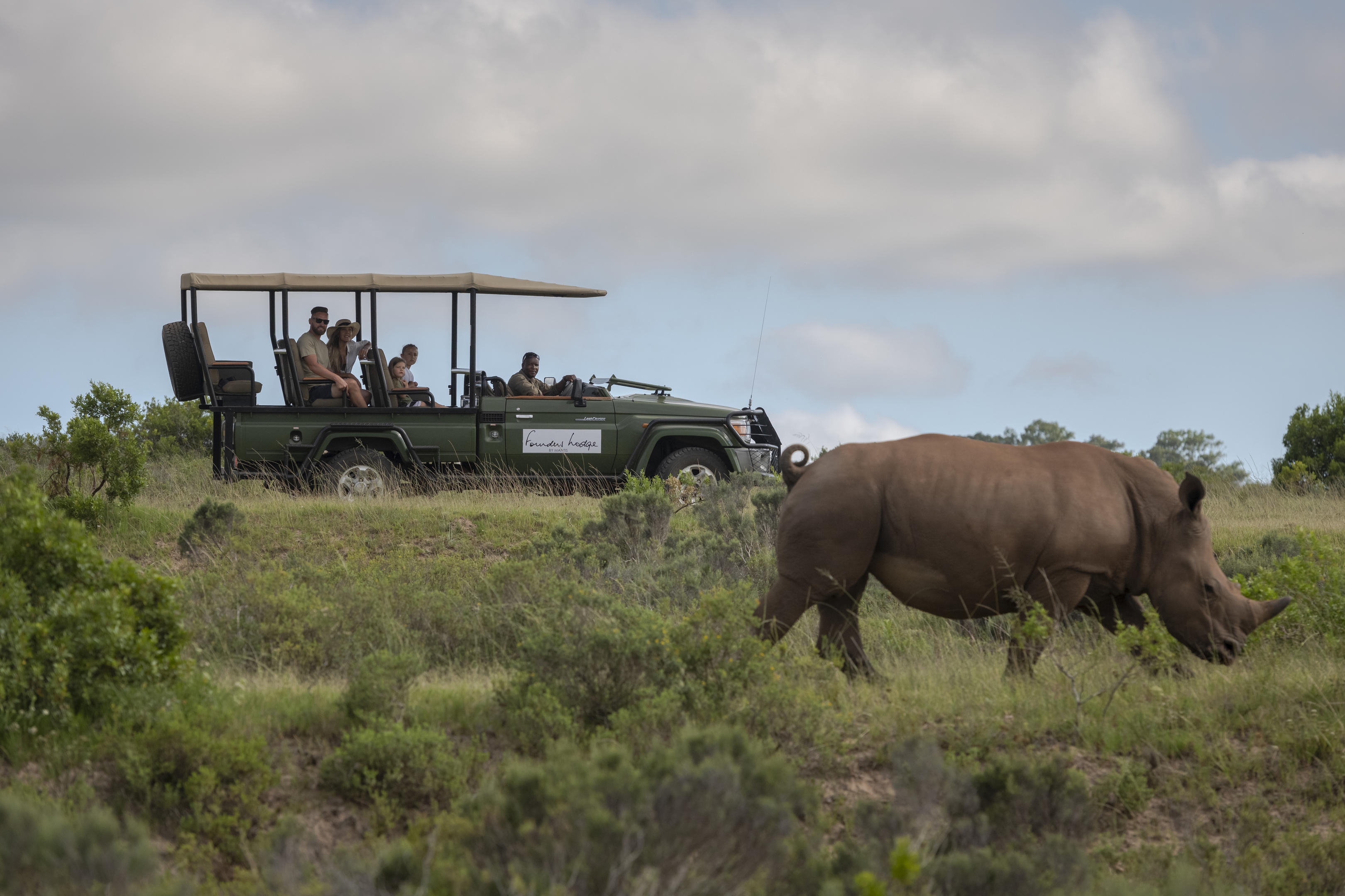 Rhino in the wild with a safari vehicle pulled up beside it.
