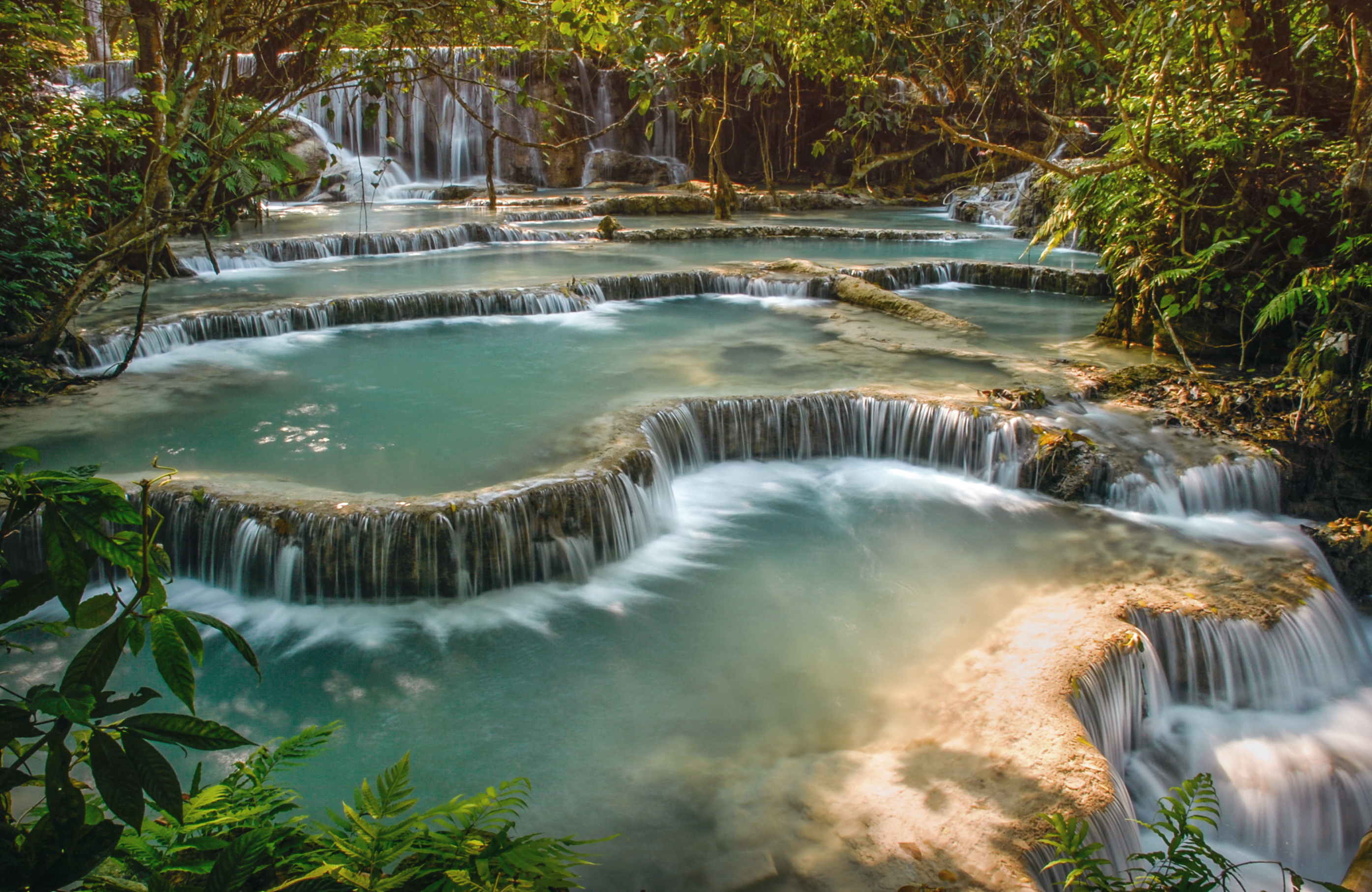 A small waterfall in the middle of a forest