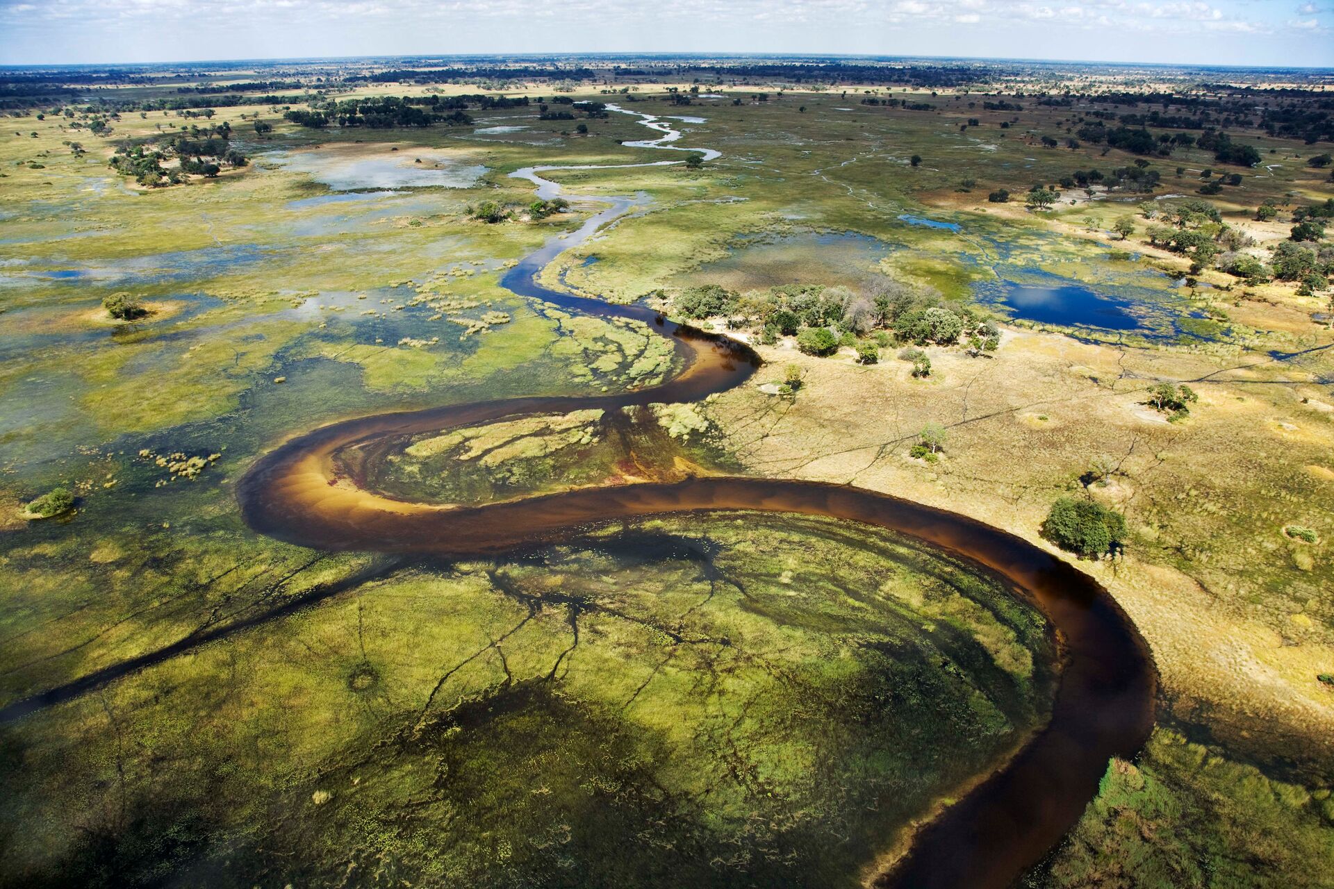 Aerial View Of Wetlands