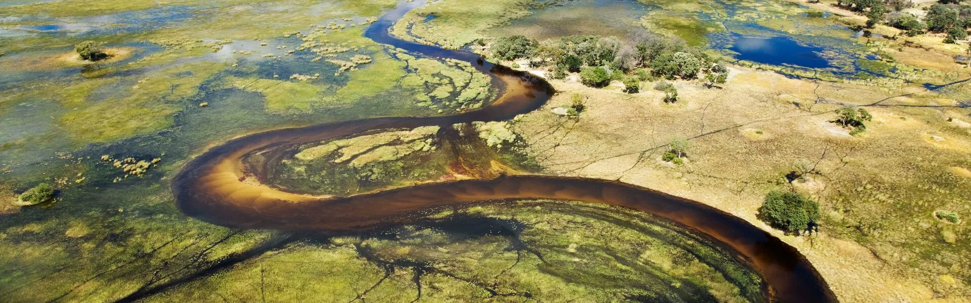 Aerial View Of Wetlands