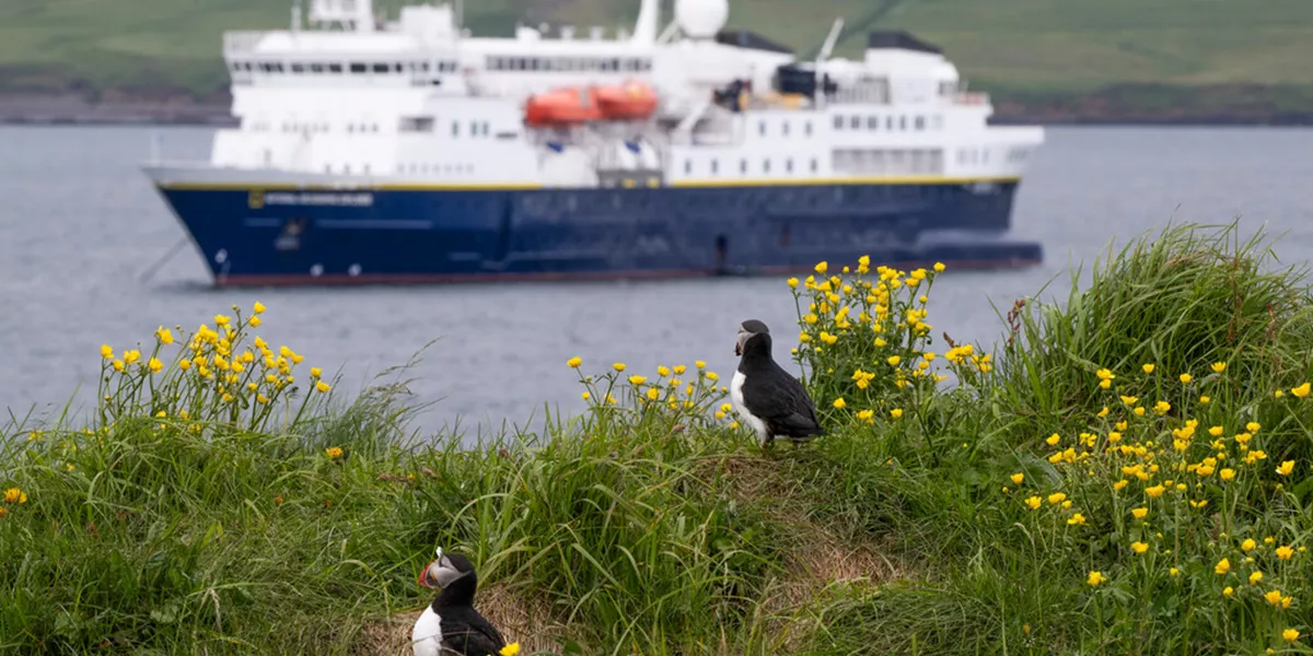 Medium RGB LEX Iceland Borgarfjörður Eystri Múlaþing Eastern Region DV2549