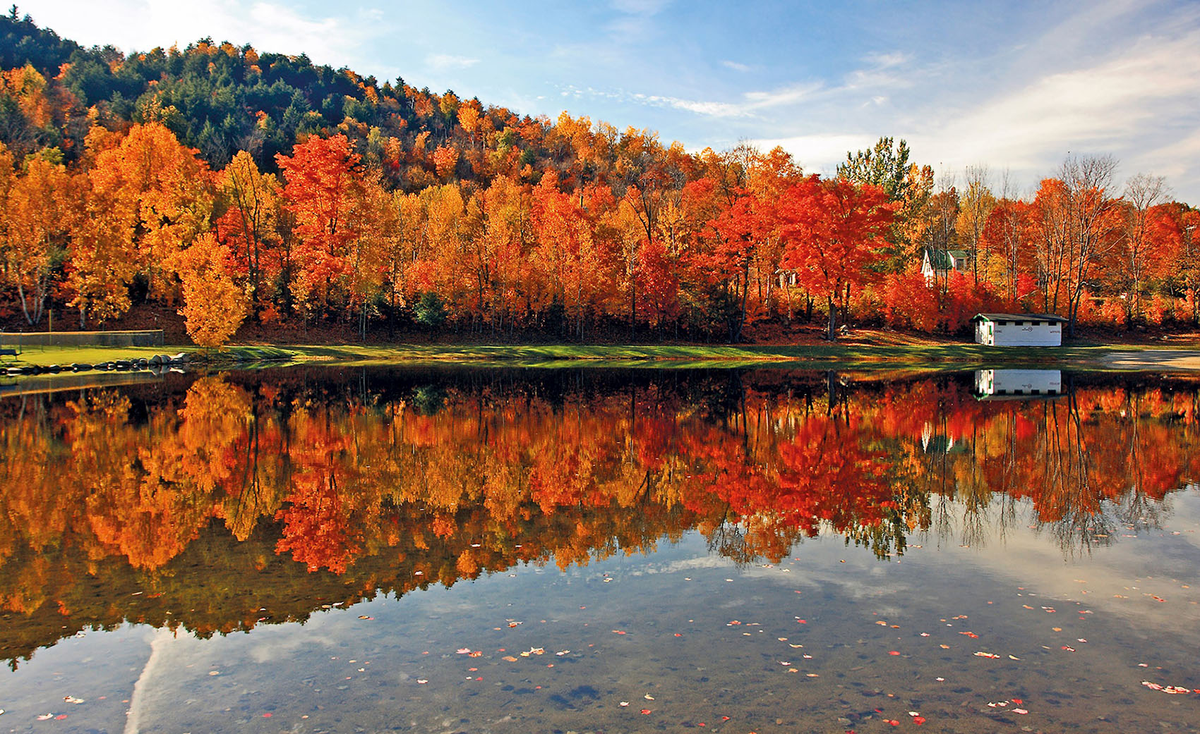 Fall foliage over the water
