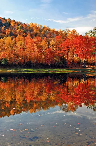 Fall foliage over the water