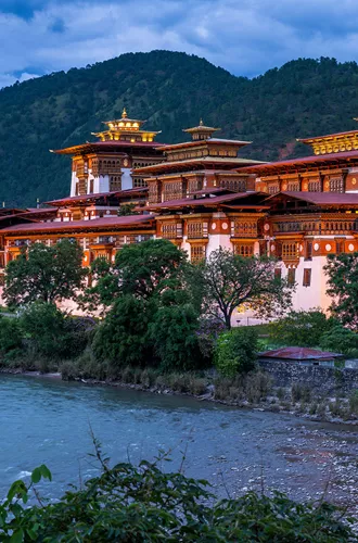 Traditional building surrounded by a forest