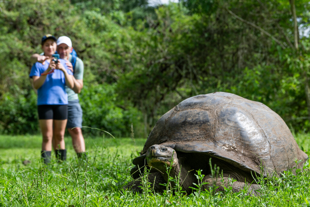 Medium RGB LEX Ecuador Galapagos Islands Santa Cruz Island DV1386