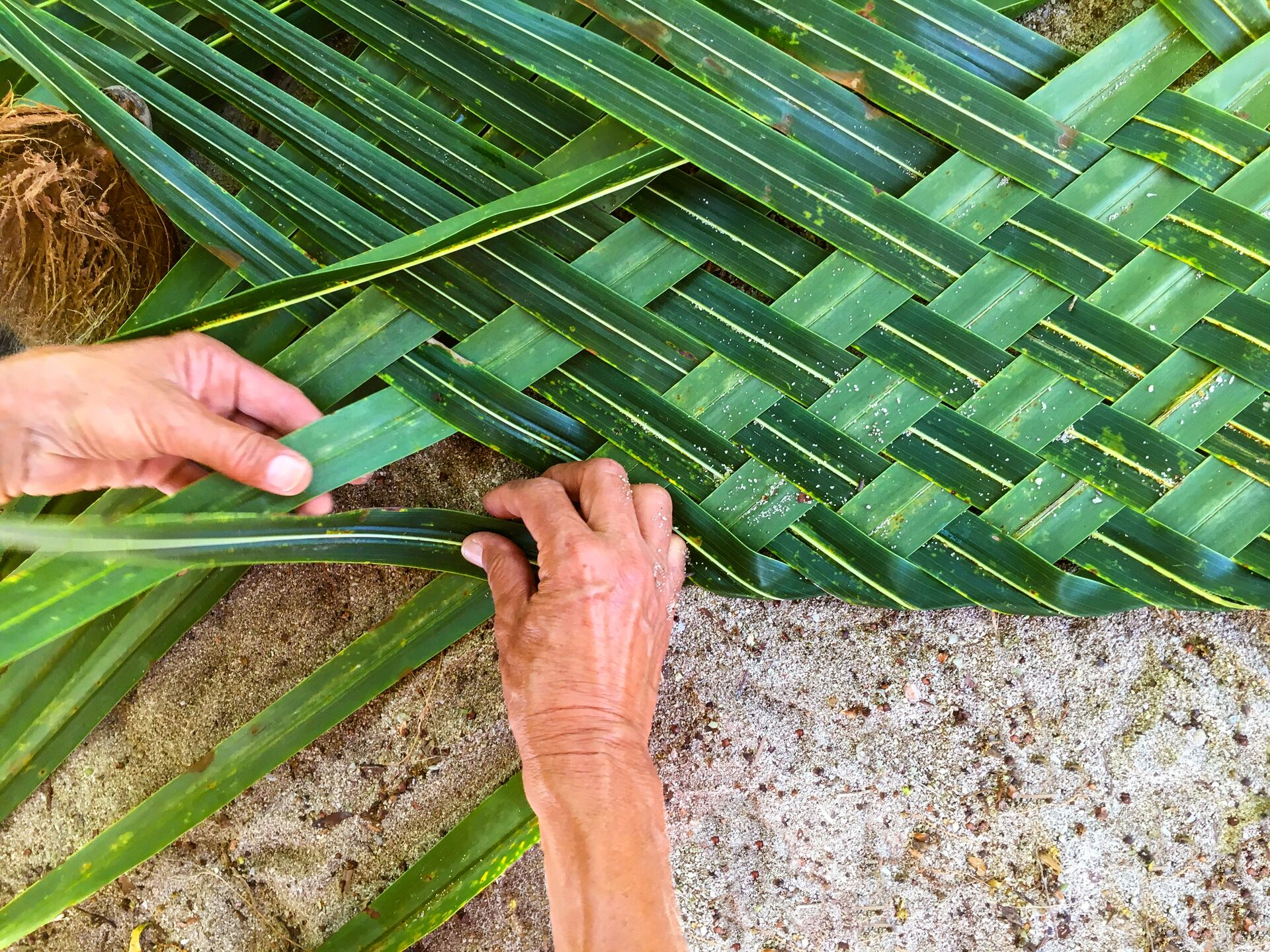 Weaving Coconut Palm