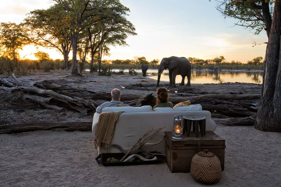 a couple sitting down watching elephants at a waterhole
