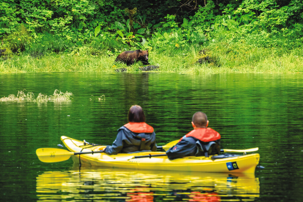 Medium RGB LEX US Alaska AK498