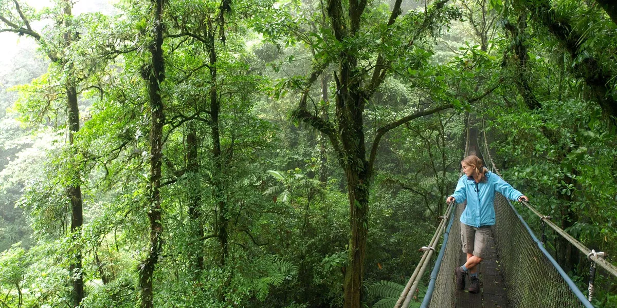 Costa Rica Monteverde Cloud Forest Woman Standing On Hanging Bridge In The Forest