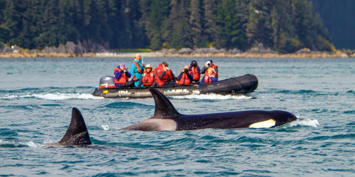 Medium RGB LEX US Alaska AMF2244