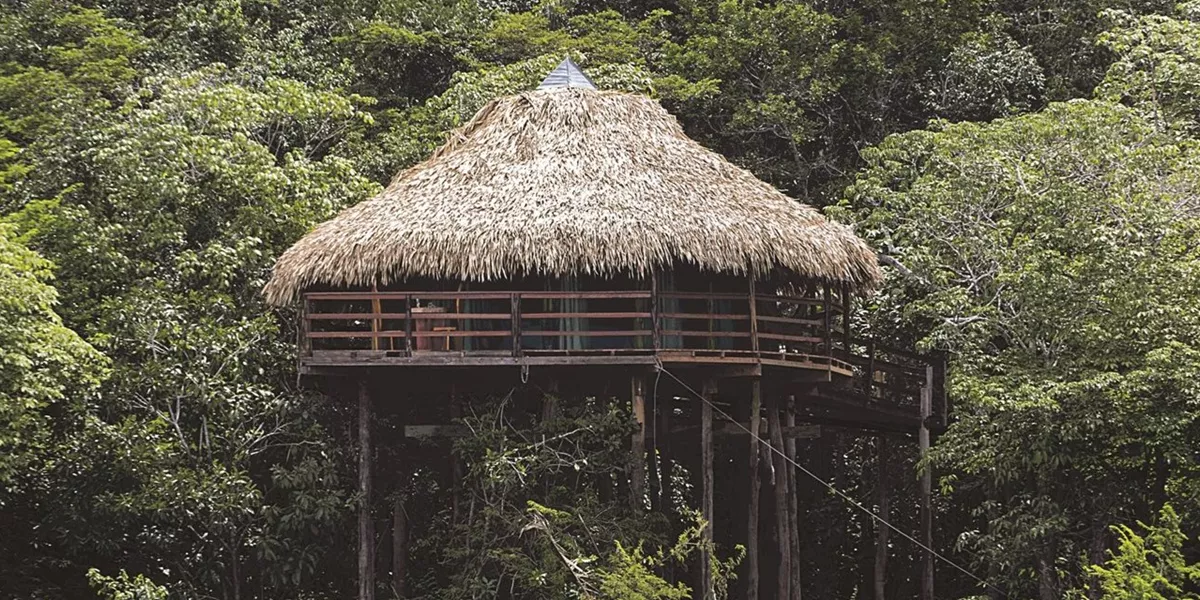 Hut in the Amazon