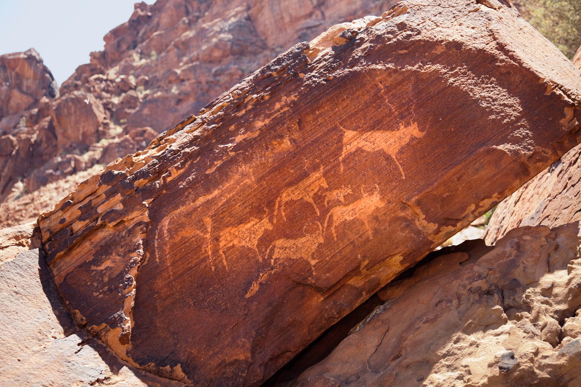 Namibia Ancient Rock Art Twyfelfontein