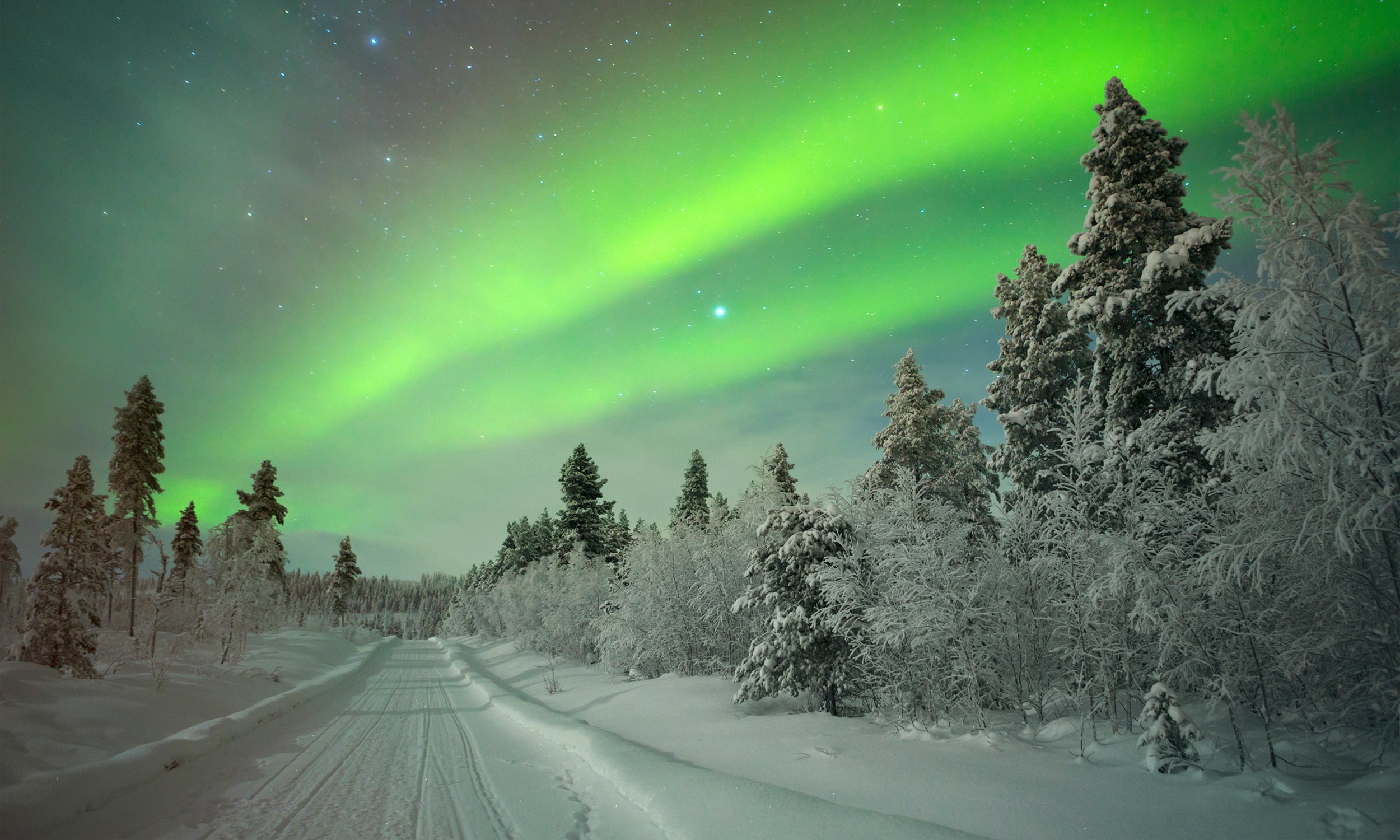 Best Of Lapland Tour Finland Adventure World Adventure World Best Of Lapland Tour Finland Adventure World Adventure World
