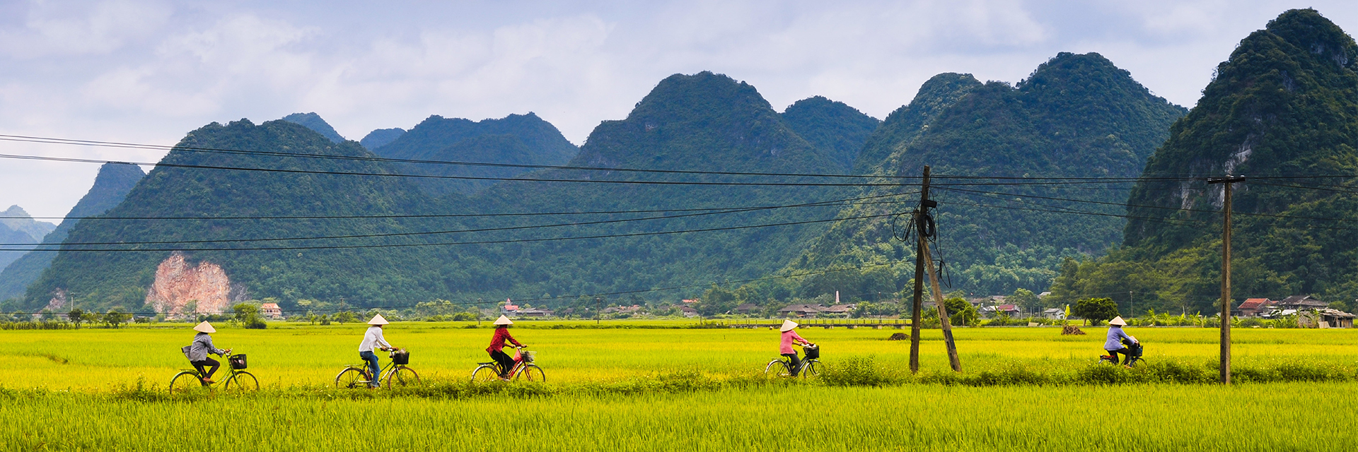 A group of people riding bikes through a lush green field and hills