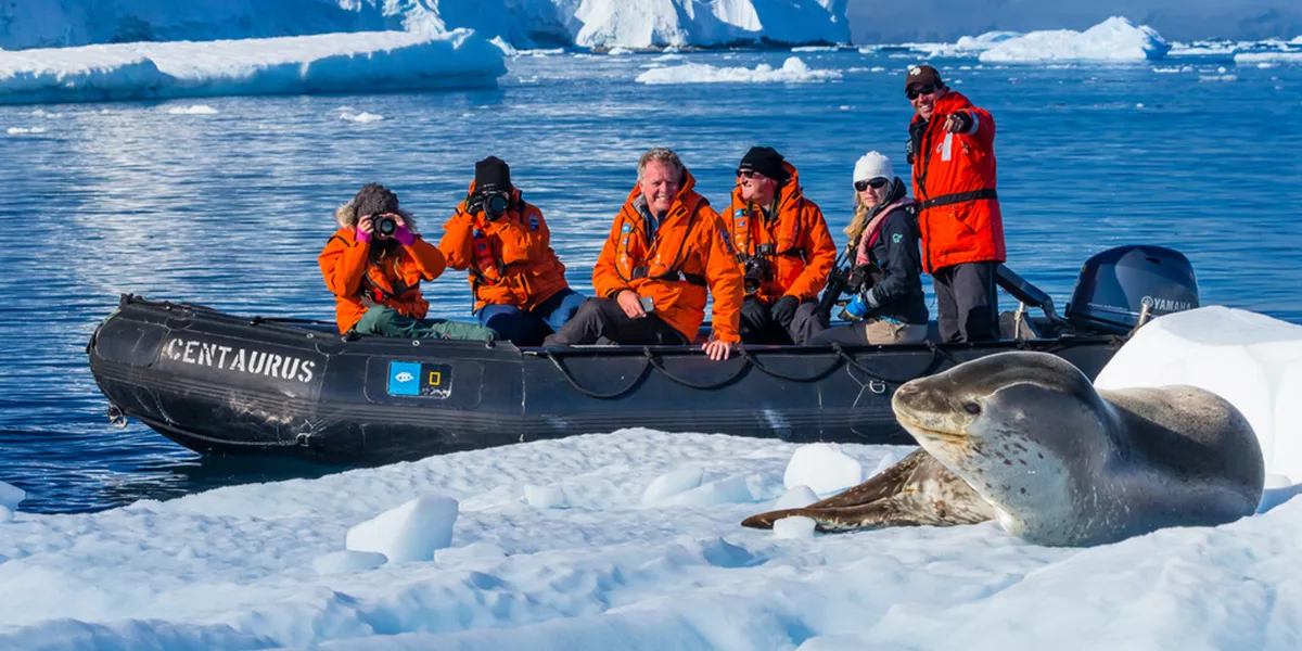People in antarctica with a seal on the icy shore