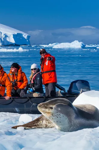 People in antarctica with a seal on the icy shore
