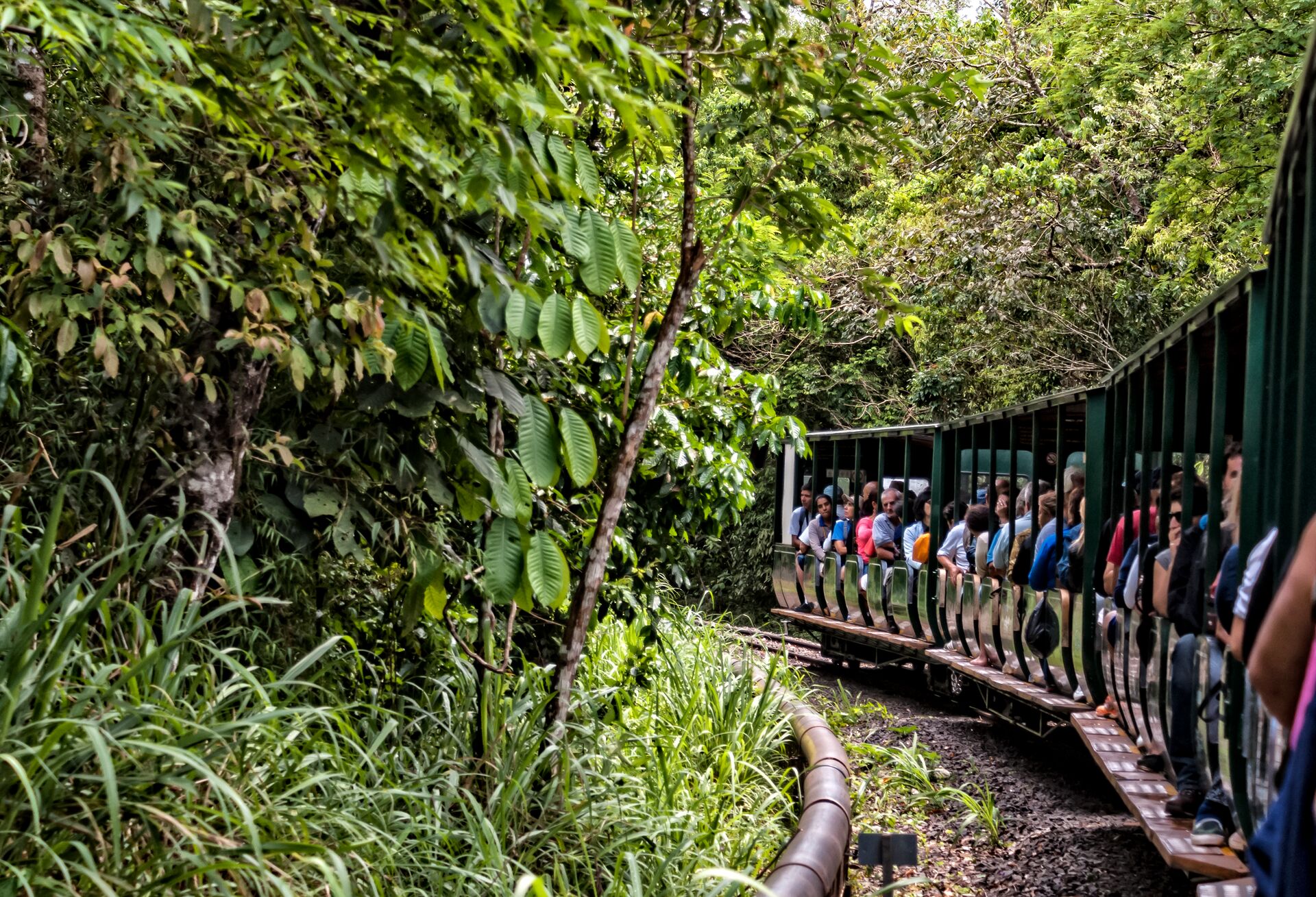  people riding a Train Inside Iguazu National Park