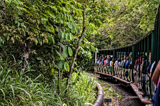 people riding a Train Inside Iguazu National Park