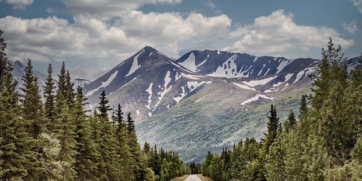 Railroad towards a mountain in a forest