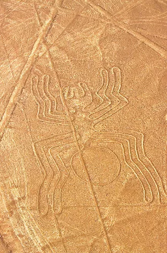 Lines in the ground representing a spider