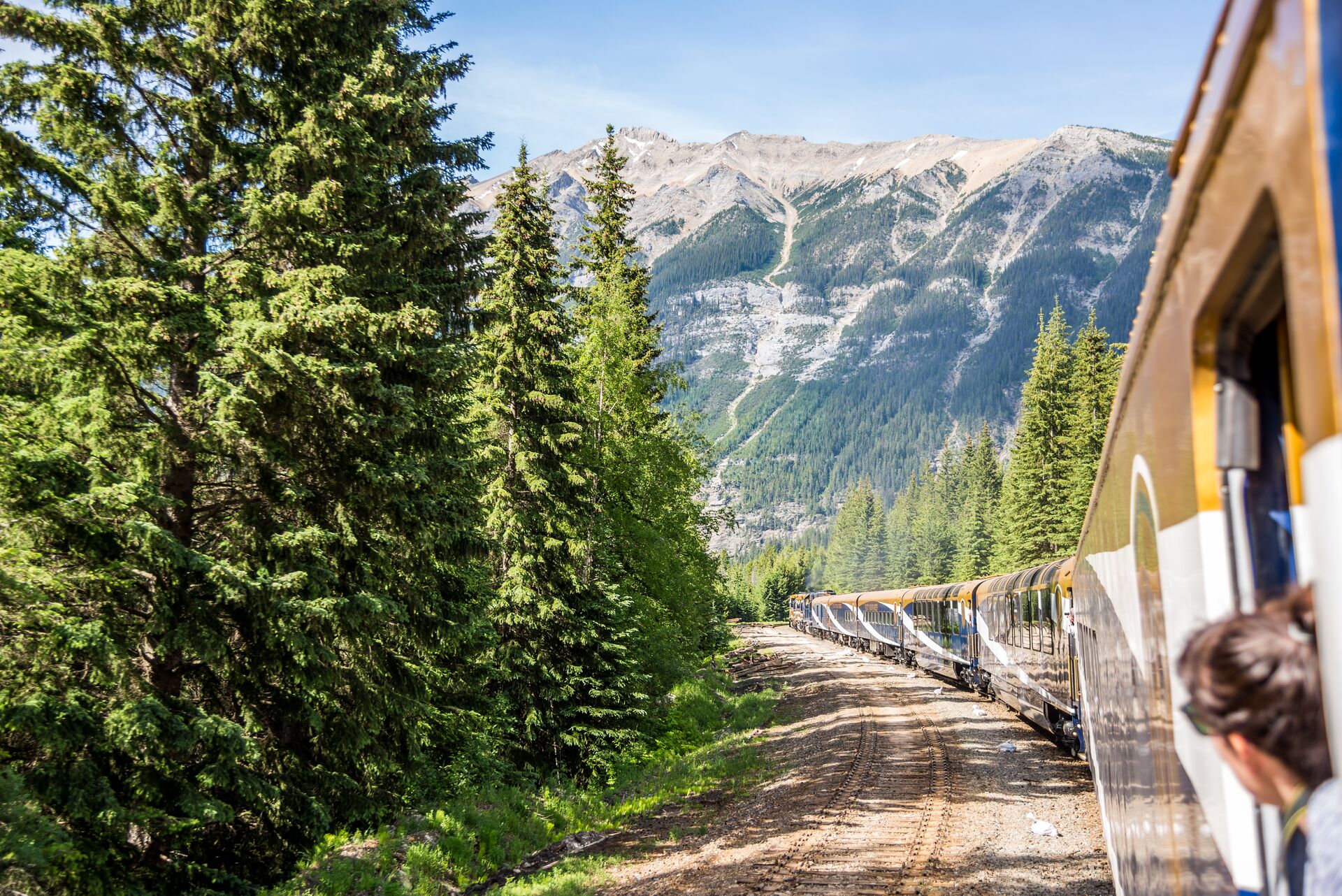 person popping head out on Rocky Mountaineer Train Traveling Through The Rocky Mountains